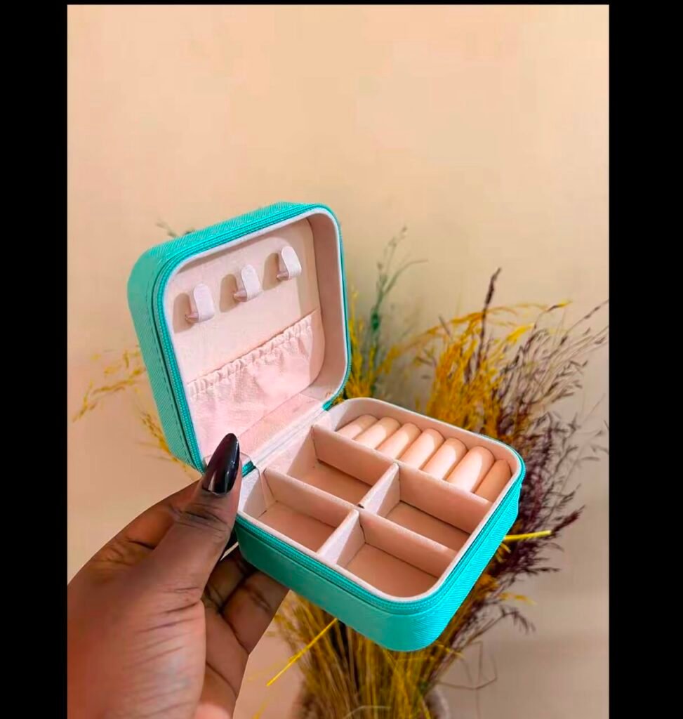 Mini Jewelry Organizer